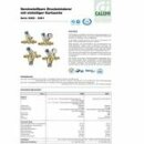 Druckminderer 3/4 Zoll DN20 Druckregler für Trinkwasser und Brauchwasser DIN DVGW-geprüft